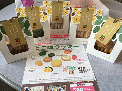 地元企業と共同で地元野菜を利用したクッキーを開発